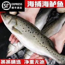 ���r���l�|�~�r���ك����������|�~���r���~���~���Ʒ���rˮ�a