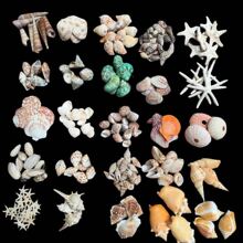 ��Ȼؐ�����ݺ����~���쾰�ֹ�diy��������L�Ư��ƿ�b�С�Y��