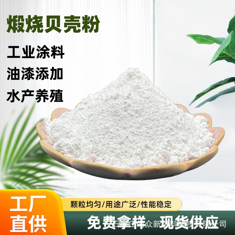 厂家供应贝壳粉1250目室内装修涂料油漆填料水产养殖煅烧贝壳粉