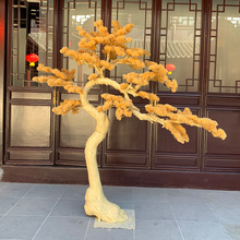 ӭ�����bGֲ�ɘ��_�h��ѩ���Rβ�ɸ߶���ľ�b�ܛ�b�҃��b�