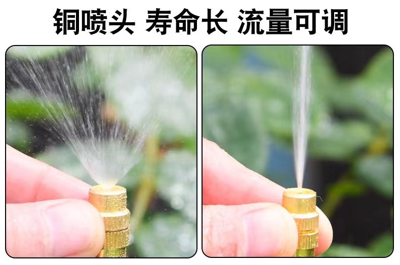 微信图片_20220928205911