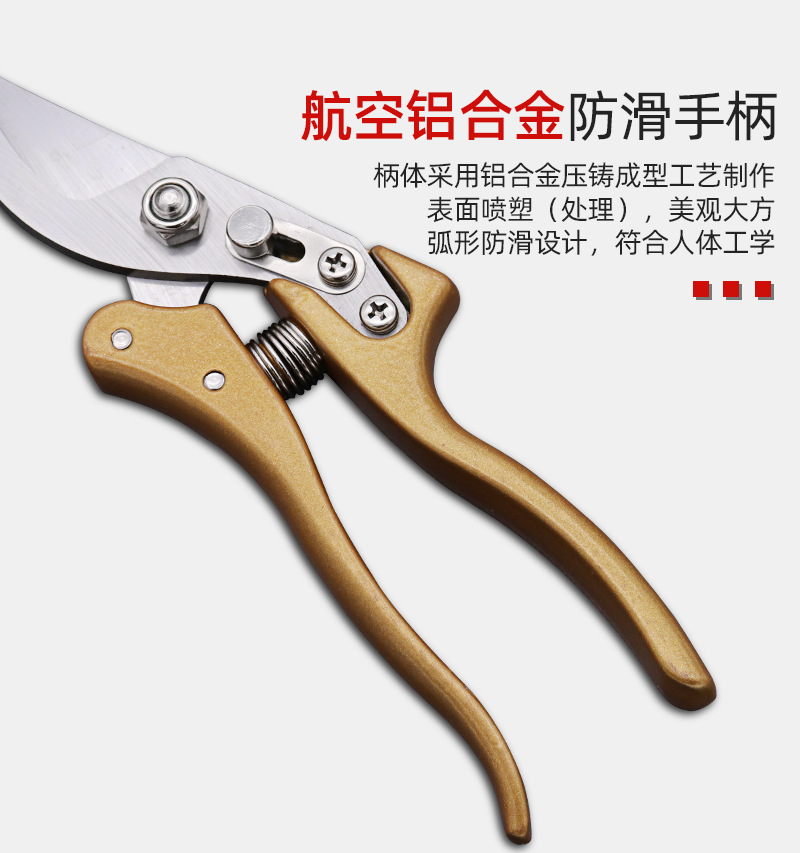 O1CN01LERxF61zhiVYQqMUZ_!!2206