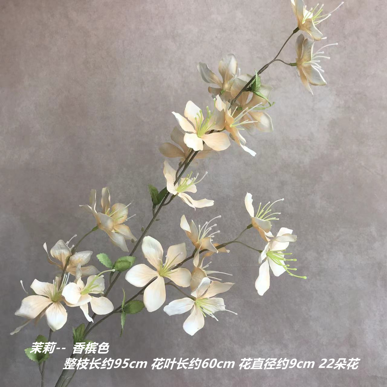 샴페인