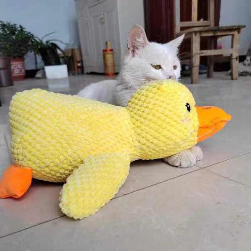 040f8aa0-8e1e-4f51-855f-719b29