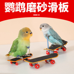 退屈解消トレーニング小道具、オウムのおもちゃ、鳥のおもちゃ、スクーター、知育コンパニオン、黒鳳牡丹専用用品