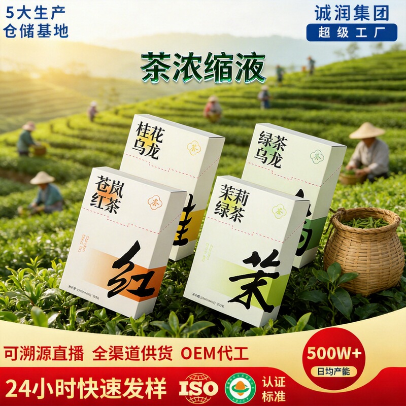 Juefei Osmanthus Oolong Cold Brew Tea Original Liquid Jasmine Green Tea Extract Ready-To-Drink Canglan Black Tea Cold Brew Tea Concentrate
