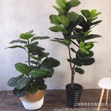 ߷^zָƤ߼~ſ͏dҾOӋzӰ辰