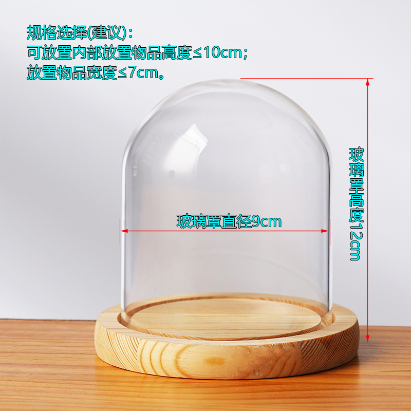 Cubierta cilíndrica de vidrio transparente sin lámpara de madera de estilo inmortal cubierta de polvo de flores hecha a mano decoración creativa de escritorio de bloques