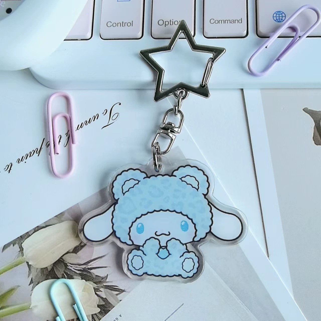 Sanrio, creative cartoon acrylic keychain, cute pendant, Birthday gift