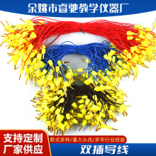 厂家供应 接线插导线 20cm 30cm 40cm 科学教学实验仪器 教学仪器