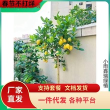 һ�����l��ˮ���ʘ�������ˮ��������ϱ����҃�ͥԺ���F�ļ��Nֲ