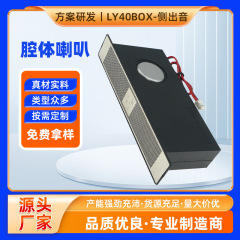 40mm側出音キャビティスピーカー4ユーロ3ワットスマート化粧鏡魔鏡キャビティスピーカー複合機スピーカー