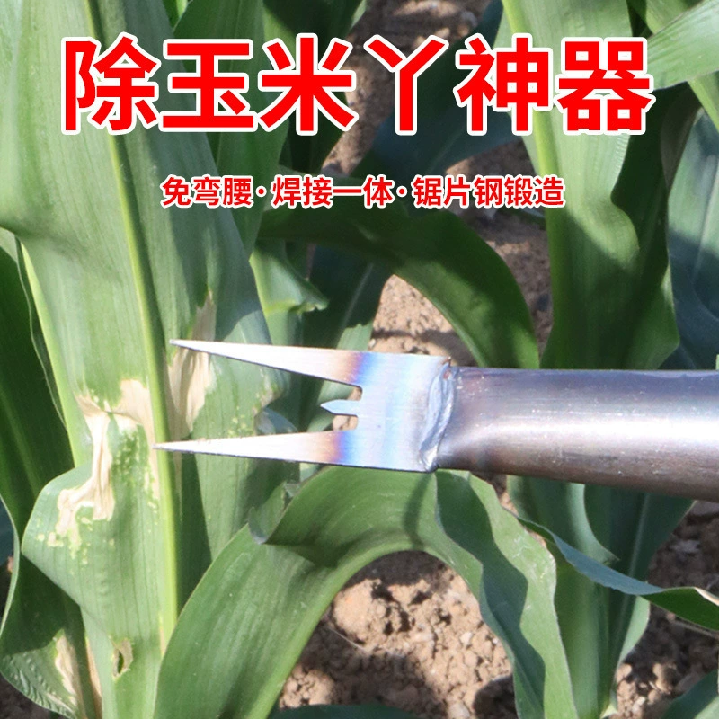 Инструмент для обмолота кукурузы для сельскохозяйственного использования, не требует изгиба, для удаления кукурузных початков, прополки и копания корней батата, специальный инструмент для кукурузы.