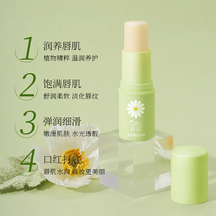 Word collection chamomile lip balm moisturizing autumn and winter anti-dry colorless lipstick factory wholesale delivery