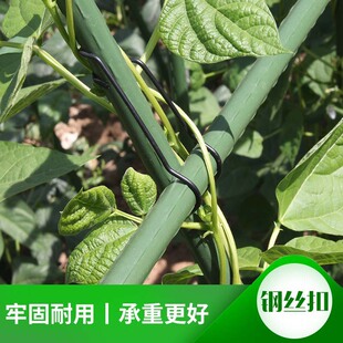 䓽z�ۏ��ɿۉ�픻ɿ����ټ��B������@ˇ̼�֧���B�ӿ������Gֲ