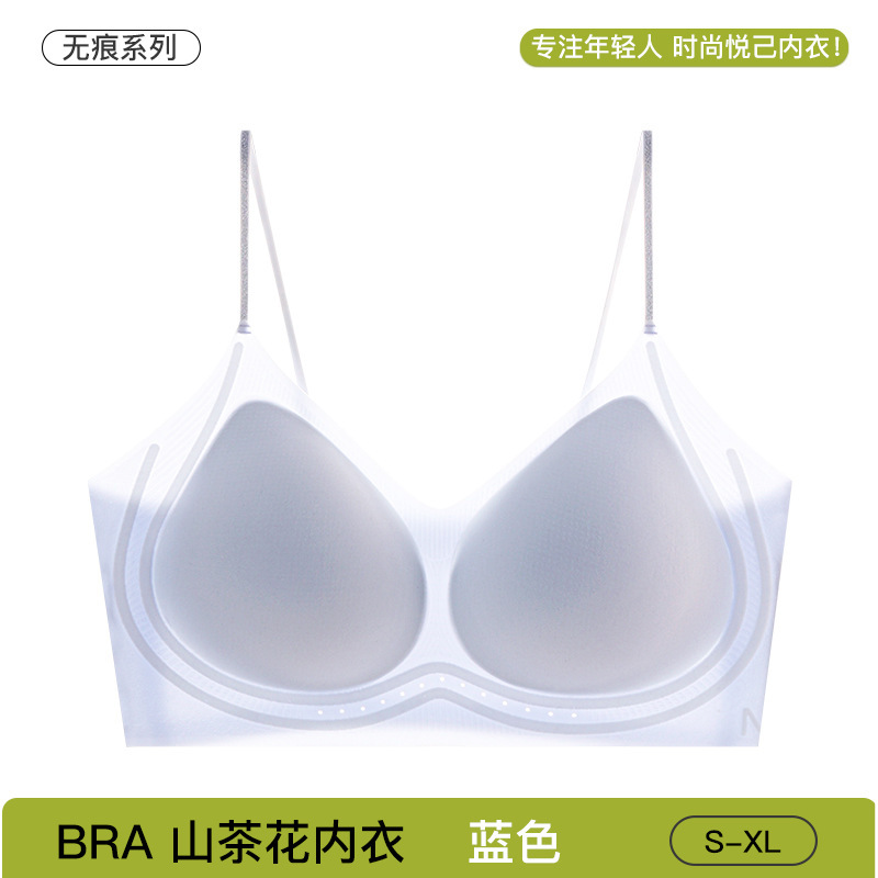 블루[동백향, 10A항균]