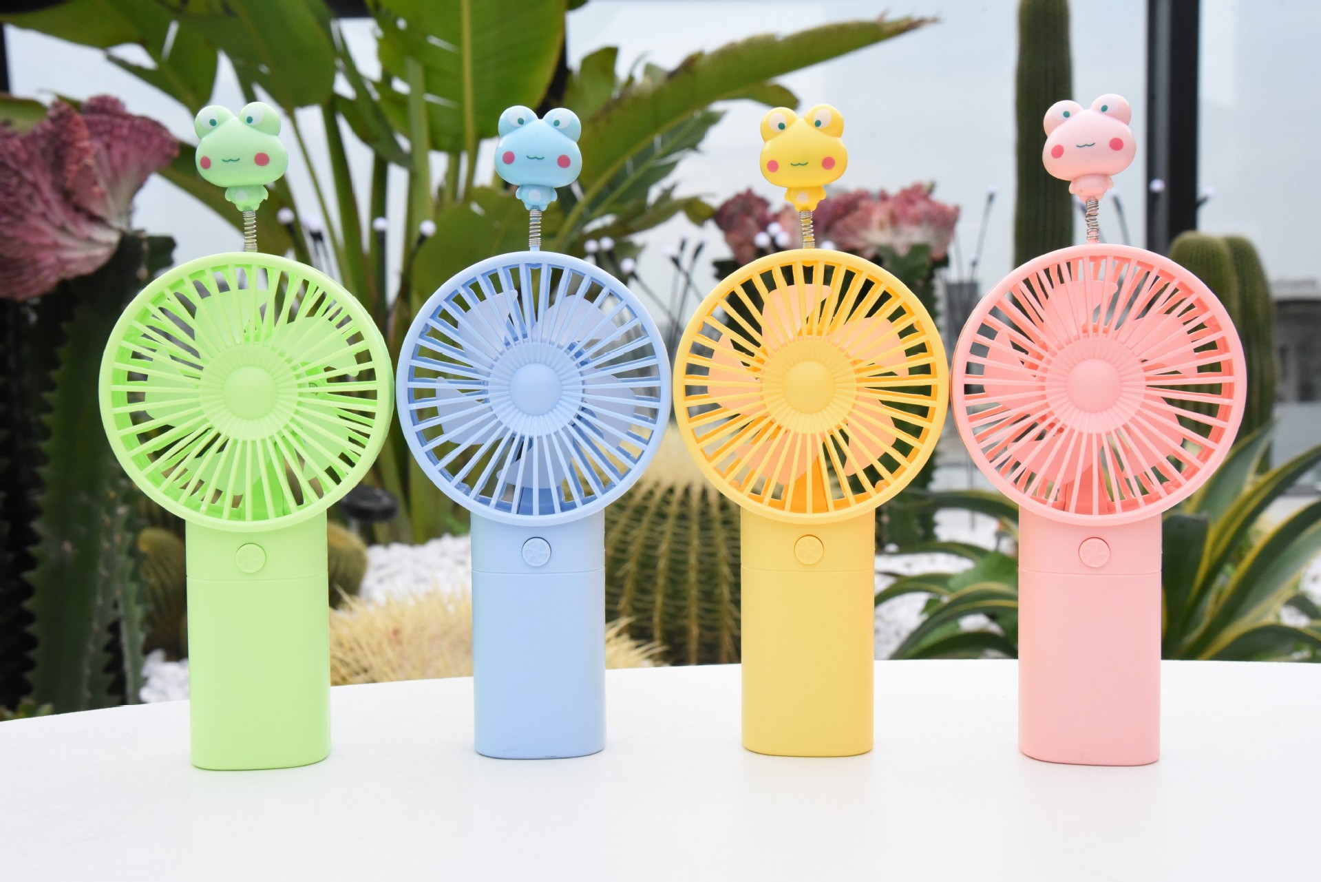 conew_conew_dsc_2871