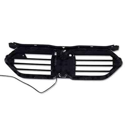 X2 car grille, Zhongwang