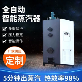 蒸汽发生器;燃生物质锅炉;锅炉配附件