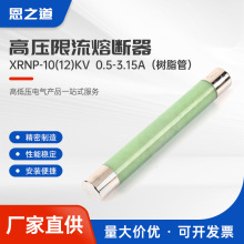 XRNP-10(12)KV  0.5-3.15A����֬�ܣ��߉������۔��� �߉��۔��