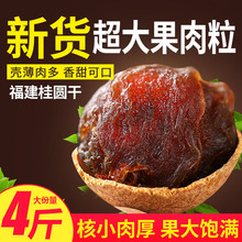 桂圆干2024年新货福建特产14A大果粒龙眼干年货桂圆肉非特级无核