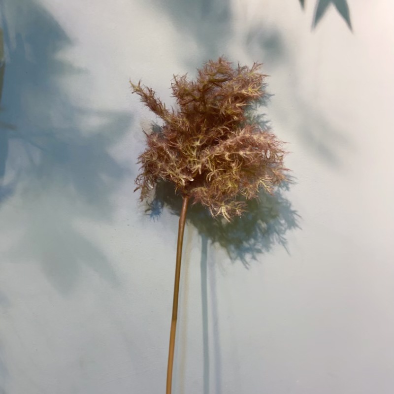 늦가을 색상, 최소 주문량 100개, 주문 시간 15일