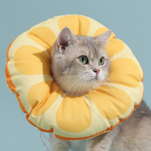 Cat Elizabethan Cone Puppy Collar for Preventing Biting and Scratching Pet Accessory