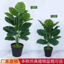 仿真绿植龟背红掌假花客厅塑料装饰绿色植物落地盆栽摆设盆栽盆景