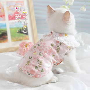 猫咪衣服防掉毛薄款夏天布偶猫服装春秋小猫宠物猫猫幼猫夏季背心