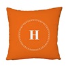 Scandinavian orange sofa, modern back pillow, plush pillowcase