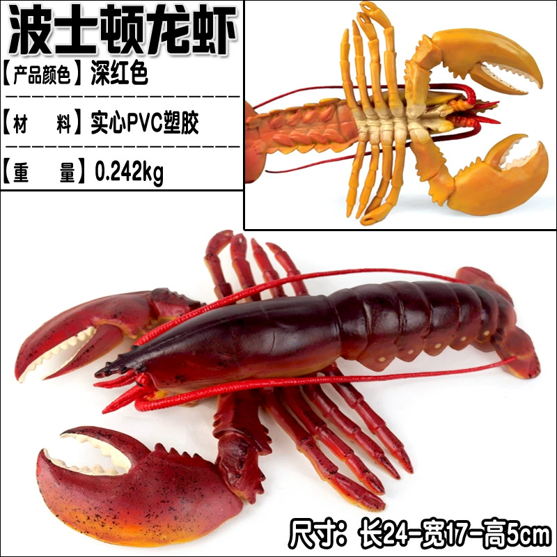 Игрушка, большие морские когнитивные украшения