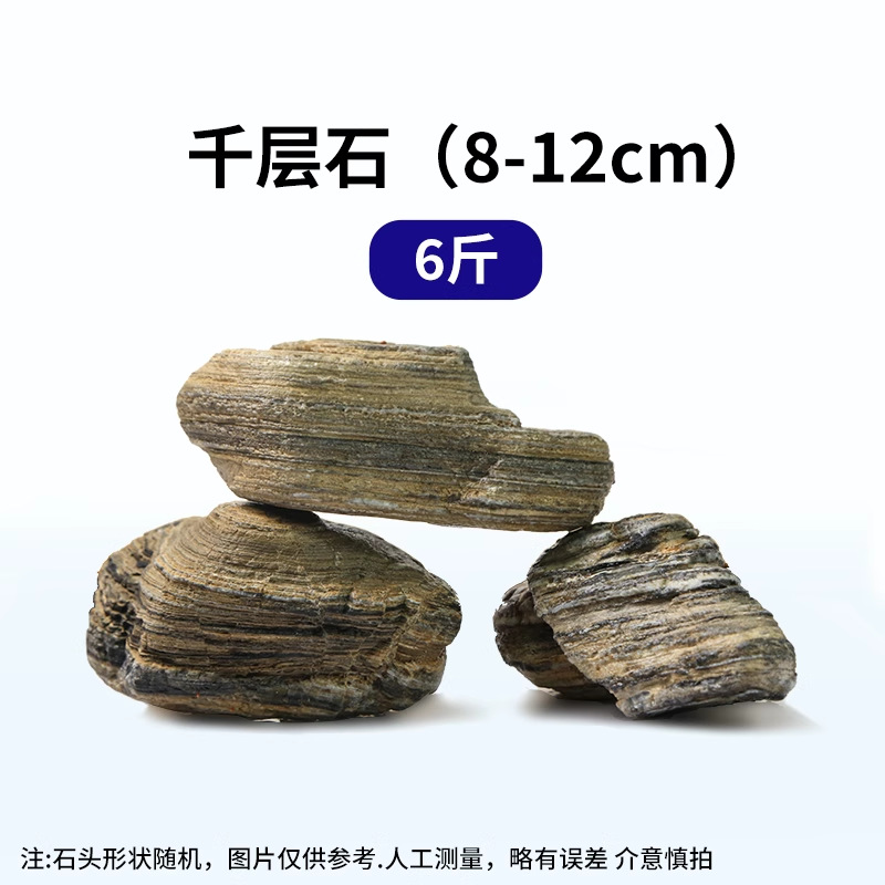 千层石8-12cm【六斤】