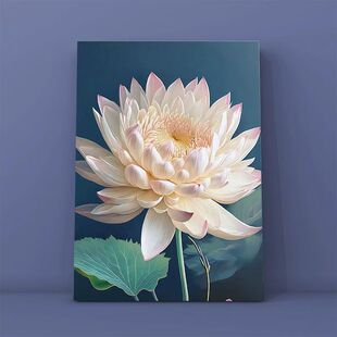 ɏӰ��������ʽdiy�����ͮ����ɻ��Ї��L��ϩ�����L�ͮ��≺��