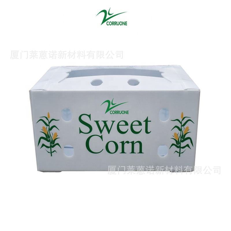 Caja de frutas y verduras de placa hueca pp personalizada plegable impermeable frutas y verduras frescas de transporte de cadena de frío Caja de plástico de calcio image 24