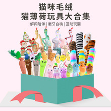 宠物用品新款胡萝卜各种毛绒猫玩具自嗨解闷含猫薄荷响纸猫咪玩具