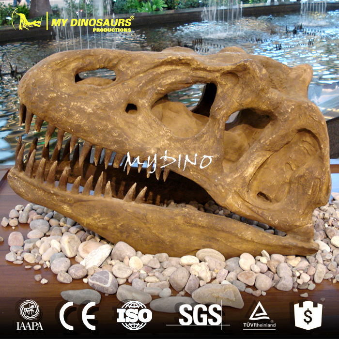 恐龙头骨骨架 仿真恐龙动物玻璃钢化石 餐厅景区橱窗摆设模型