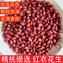 代用/养生茶;花果茶;枸杞及其制品