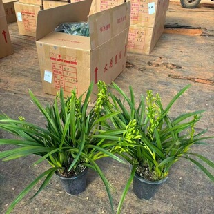 3-5֧�� ��������ˮ���m�����ʹ�ޥ�m�҃��m�����B���ܾGֲ����