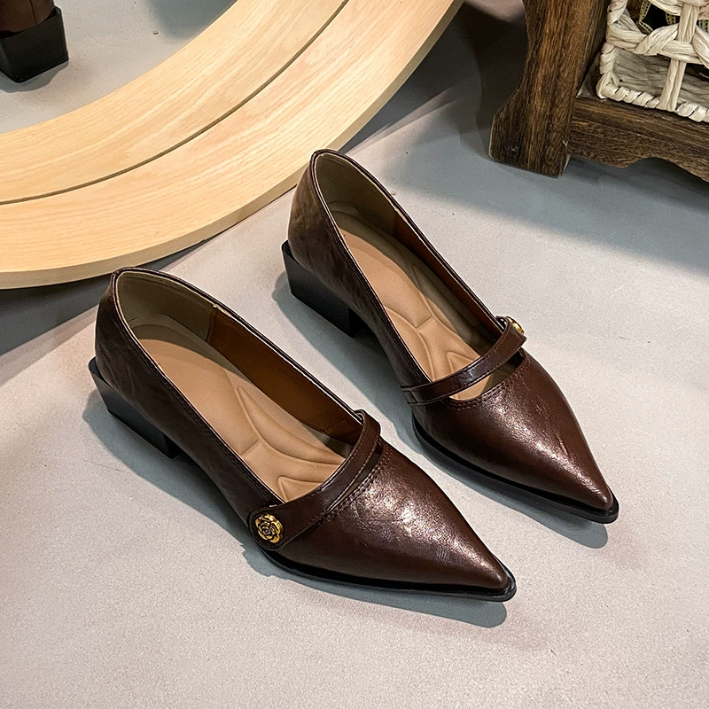 Большое количество готовых женских туфель на высоком каблуке с камелией 2025 года большого размера с элегантными туфлями Мэри Джейн на толстом каблуке с одной пряжкой и острым носком.