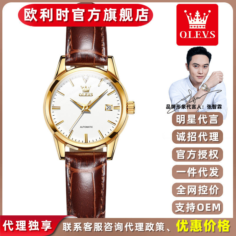 Oulisi Brand Watches Wholesale Fashion Mechanical Watches for Women Waterproof Leather Strap Women's Watches Women's Mechanical Watches