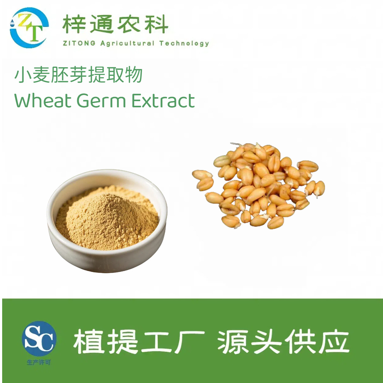 小麦胚芽提取物亚精铵2%食品级药品级甘肃梓通农科现货供应量大