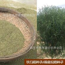 FN ߰ѷNӵwNӽz^NӒ߰јNӾG