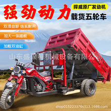 三轮摩托车燃油水冷三轮车正汽油载客宗申动力摩托三轮车
