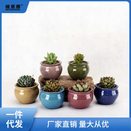 冰裂陶瓷花盆多肉迷你盆桌面小花盘盆栽植物多肉花盆桌面迷你姜茶