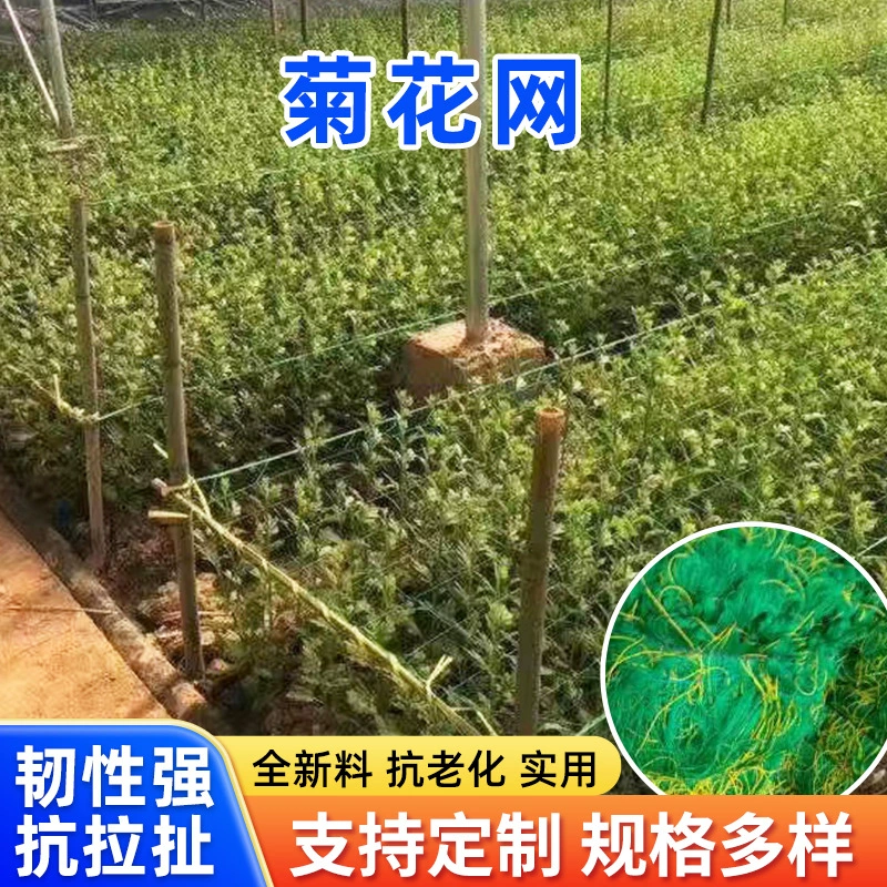 Заводская поставка полиэтиленовой хризантемы сетка Лилия петрушка лук Анти-Жилье сетка Гвоздика формирование посадки сетка
