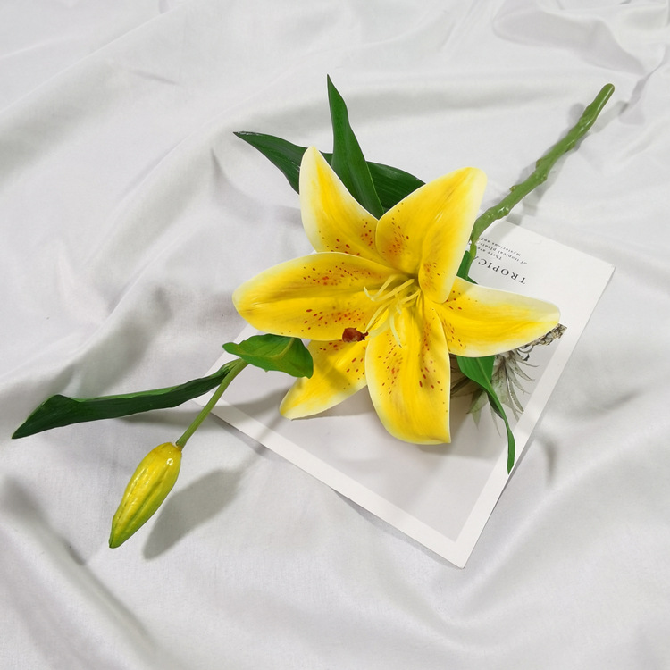 IMG_20220212_114225_副本