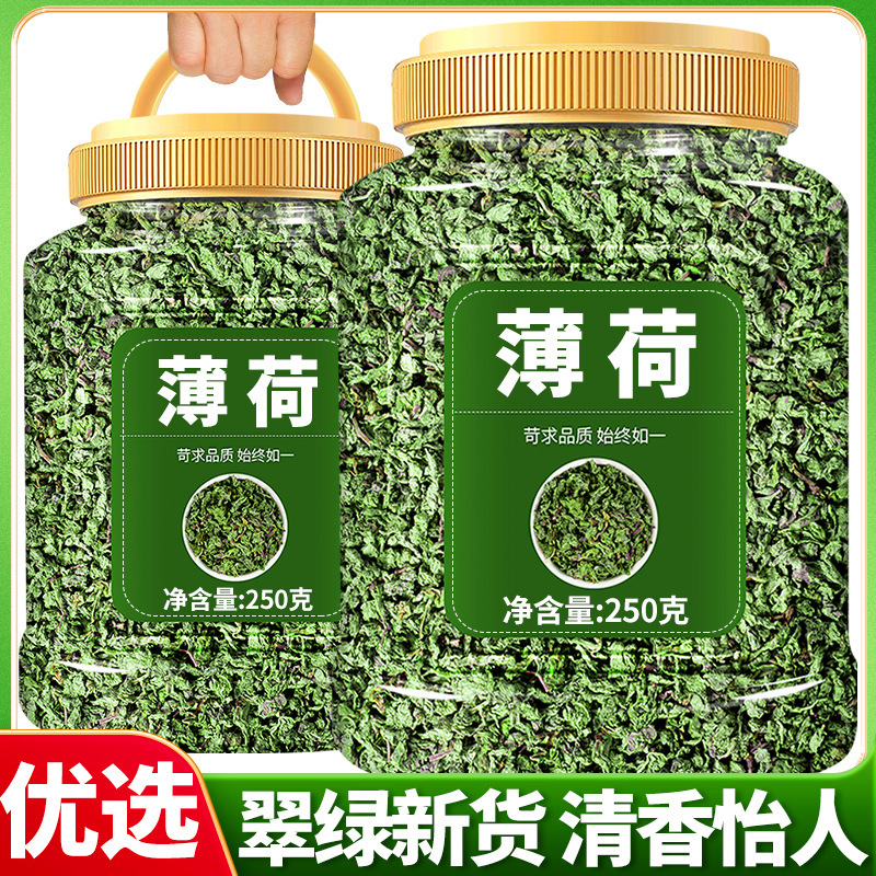Mint Leaves, Dried Mint Tea, Fresh Edible Mint Tea, Soaked in Water, Sold Separately, Special Grade Wild Mint Leaves, Refreshing Mint Leaves, Dried Mint Tea, Fresh Edible Mint Tea, Soaked in Water, Sold Separately, Special Grade Wild Mint Leaves, Refreshing