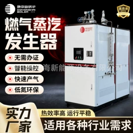 蒸汽发生器;锅炉配附件;燃气锅炉