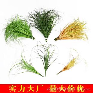 �羳�W�L��Ҿӷ����֧�Ѳ� �҃ȷ���ֲ�����Gɫ���[�ݼٻ�