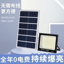 （买一送一）太阳能灯户外新农村照明庭院灯天黑自动亮投光灯路灯